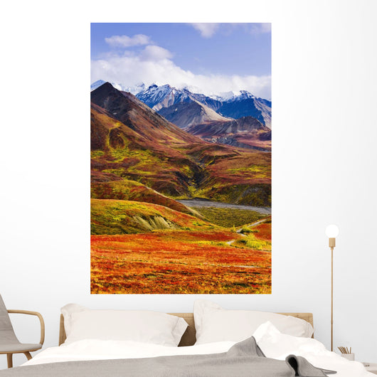 Fall Colours And Alaska Range, Denali National Park, Alaska Wall Mural