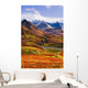 Fall Colours And Alaska Range, Denali National Park, Alaska Wall Mural