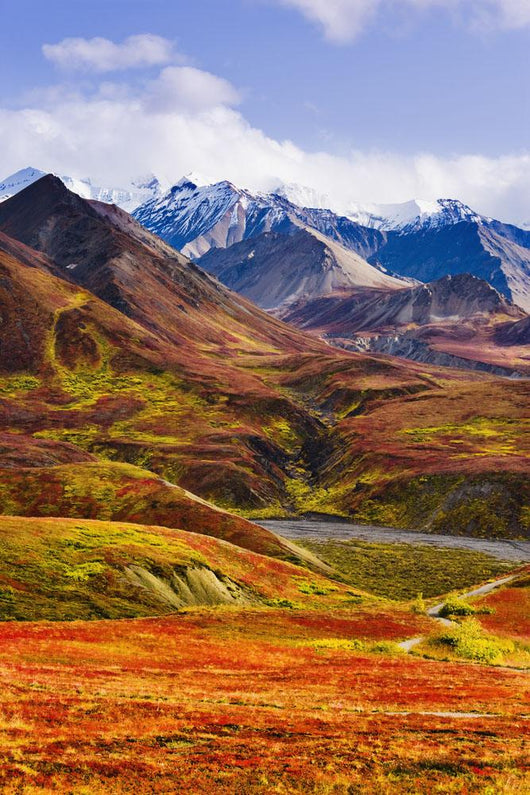 Fall Colours And Alaska Range, Denali National Park, Alaska Wall Mural