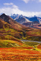 Fall Colours And Alaska Range, Denali National Park, Alaska Wall Mural