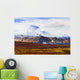 Mount Mckinley From Eielson Visitor Center Wall Mural