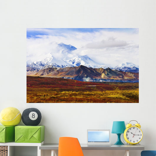 Mount Mckinley From Eielson Visitor Center Wall Mural