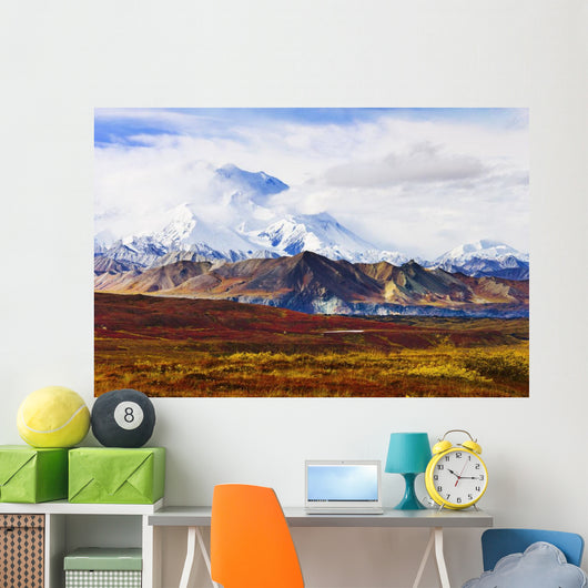 Mount Mckinley From Eielson Visitor Center Wall Mural