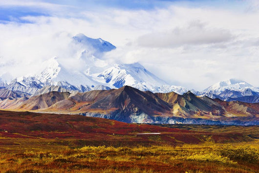 Mount Mckinley From Eielson Visitor Center Wall Mural