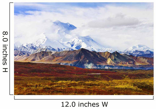 Mount Mckinley From Eielson Visitor Center Wall Mural