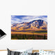 Fall Colours And Fang Mountain, Denali National Park, Alaska Wall Mural
