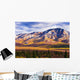 Fall Colours And Fang Mountain, Denali National Park, Alaska Wall Mural