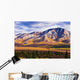 Fall Colours And Fang Mountain, Denali National Park, Alaska Wall Mural