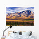 Fall Colours And Fang Mountain, Denali National Park, Alaska Wall Mural