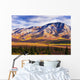 Fall Colours And Fang Mountain, Denali National Park, Alaska Wall Mural