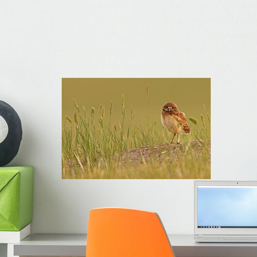 Digitally Enhanced Image With Painterly Effect Of Burrowing Owl Chick Wall Mural