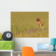 Digitally Enhanced Image With Painterly Effect Of Burrowing Owl Chick Wall Mural