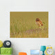 Digitally Enhanced Image With Painterly Effect Of Burrowing Owl Chick Wall Mural