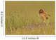 Digitally Enhanced Image With Painterly Effect Of Burrowing Owl Chick Wall Mural