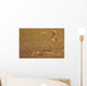 Painterly Effect Of Burrowing Owl Taking Flight Wall Mural