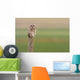 Short-Eared Owl, Saskatchewan Wall Mural