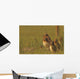 Painterly Effect Of Burrowing Owl Chicks And Adult Wall Mural