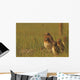 Painterly Effect Of Burrowing Owl Chicks And Adult Wall Mural