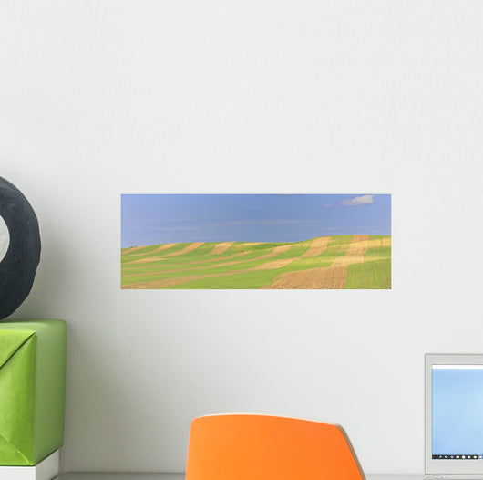 Panoramic Picture Of Patterns In Farmer's Field, Saskatchewan Wall Mural