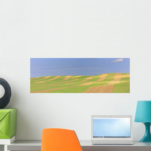 Panoramic Picture Of Patterns In Farmer's Field, Saskatchewan Wall Mural