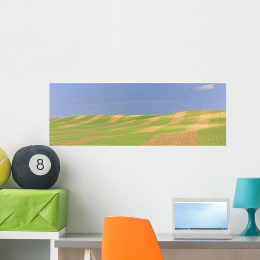 Panoramic Picture Of Patterns In Farmer's Field, Saskatchewan Wall Mural
