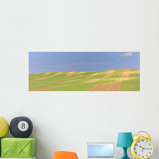 Panoramic Picture Of Patterns In Farmer's Field, Saskatchewan Wall Mural