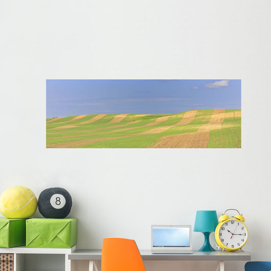 Panoramic Picture Of Patterns In Farmer's Field, Saskatchewan Wall Mural