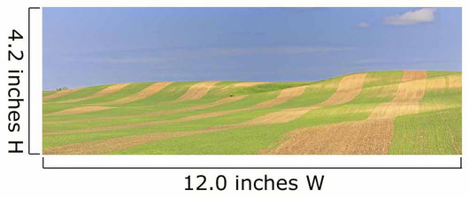 Panoramic Picture Of Patterns In Farmer's Field, Saskatchewan Wall Mural