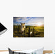 Horse At Sunset Near Moose Jaw, Saskatchewan Wall Mural