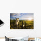 Horse At Sunset Near Moose Jaw, Saskatchewan Wall Mural