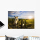 Horse At Sunset Near Moose Jaw, Saskatchewan Wall Mural