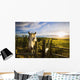 Horse At Sunset Near Moose Jaw, Saskatchewan Wall Mural