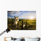 Horse At Sunset Near Moose Jaw, Saskatchewan Wall Mural