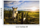 Horse At Sunset Near Moose Jaw, Saskatchewan Wall Mural