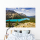 Peyto Lake, Banff National Park, Alberta Wall Mural