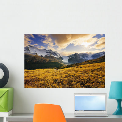 Alberta Wall Mural shown on a wall