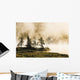 Fog Over Lac Roland At Sunrise Wall Mural