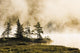 Fog Over Lac Roland At Sunrise Wall Mural