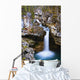 Overview Of Icefields Parkway Wall Mural