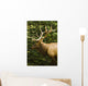 Wapiti, Jasper National Park, Alberta Wall Mural
