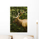 Wapiti, Jasper National Park, Alberta Wall Mural