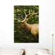 Wapiti, Jasper National Park, Alberta Wall Mural