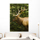 Wapiti, Jasper National Park, Alberta Wall Mural