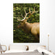Wapiti, Jasper National Park, Alberta Wall Mural