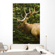 Wapiti, Jasper National Park, Alberta Wall Mural