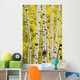 Aspen In Autumn, Jasper National Park, Alberta Wall Mural