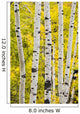 Aspen In Autumn, Jasper National Park, Alberta Wall Mural