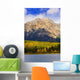 Patricia Lake And Pyramid Mountain, Jasper National Park, Alberta Wall Mural