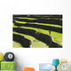 A Farmer Walks Along The Famous Rice Terraces Wall Mural