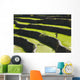 A Farmer Walks Along The Famous Rice Terraces Wall Mural